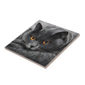 British Shorthair Cat Fliese (Seite)