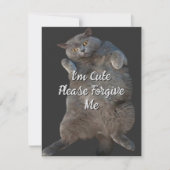 British Shorthair Cat Kitty - Back Apology Card (Vorderseite)