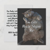 British Shorthair Cat Kitty - Back Apology Card (Vorne/Hinten)
