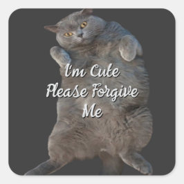 British Shorthair Cat Kitty - Back Apology Card Quadratischer Aufkleber
