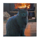 British Shorthair Cat Kitty Fireplace Fliese (Vorderseite)