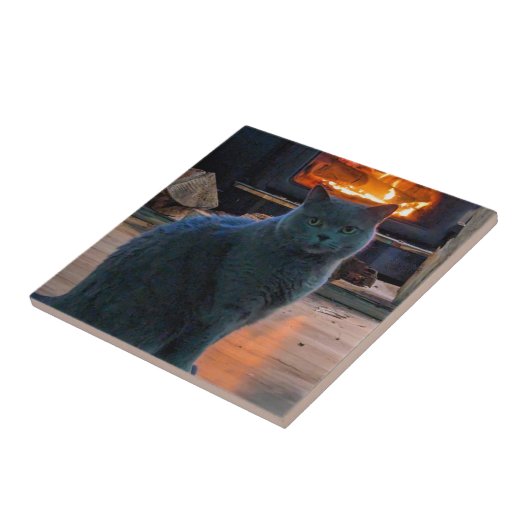 British Shorthair Cat Kitty Fireplace Fliese (Seite)