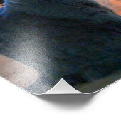 British Shorthair Cat Kitty Fireplace Fotodruck (Ecke)