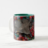 British Shorthair Cat Kitty in Poinsettias Lights Zweifarbige Tasse (Vorderseite Links)