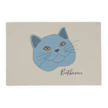 British Shorthair Cat