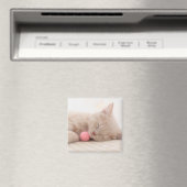 British Shorthair Cat Magnet (In Situ (Geschirrspüler))