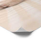 British Shorthair Cat Poster (Ecke)