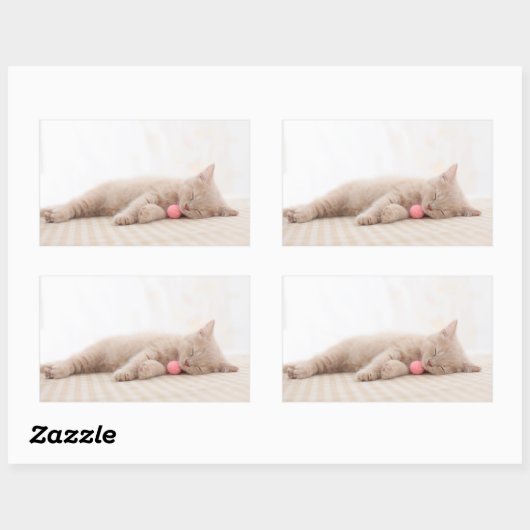 British Shorthair Cat Rechteckiger Aufkleber (Blatt)