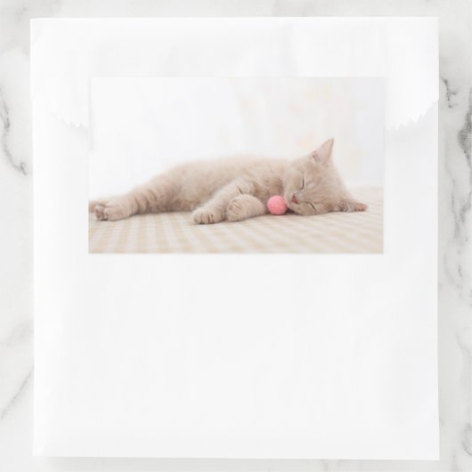 British Shorthair Cat Rechteckiger Aufkleber (Tasche)