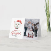 British Shorthair Cat Santa Red Foto Weihnachten (Vorderseite)