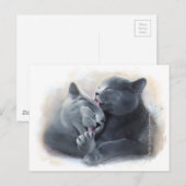 British Shorthair cats Postkarte (Vorne/Hinten)