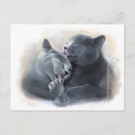 British Shorthair cats Postkarte