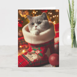 British Shorthair Chat in einem Strumpf Weihnachts Feiertagskarte