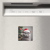 British Shorthair Christmas Magnet (In Situ (Geschirrspüler))