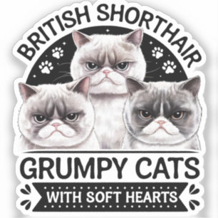 British Shorthair Grumpy Cats Aufkleber