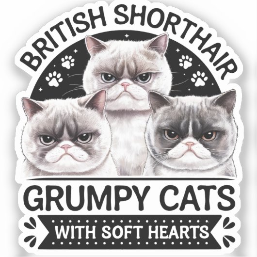 British Shorthair Grumpy Cats Aufkleber (Vorderseite)