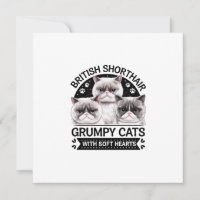 British Shorthair Grumpy Cats