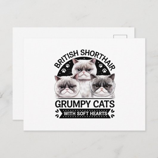 British Shorthair Grumpy Cats Postkarte (Vorne/Hinten)