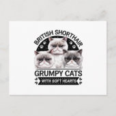 British Shorthair Grumpy Cats Postkarte (Vorderseite)