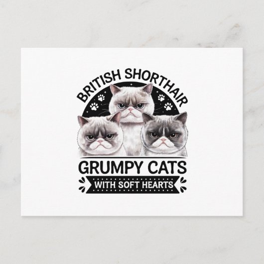 British Shorthair Grumpy Cats Postkarte (Vorderseite)