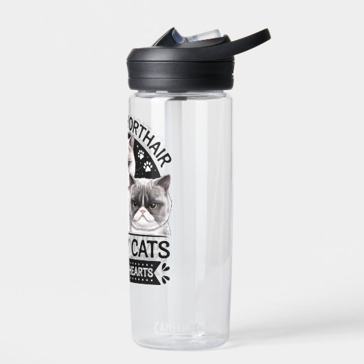 British Shorthair Grumpy Cats Trinkflasche (Links)