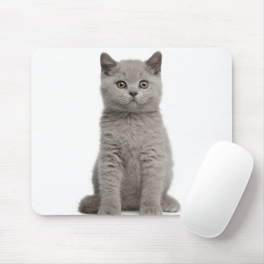 British Shorthair Kitten (10 Wochen alt) 2 Mousepad (Mit Mouse)