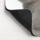 British Shorthair Kitten (10 Wochen alt) Mousepad (Ecke)