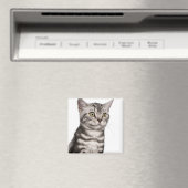 British Shorthair Kitten (4 Monate alt) Magnet (In Situ (Geschirrspüler))