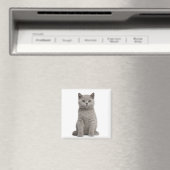 British Shorthair Kitten Magnet (In Situ (Geschirrspüler))