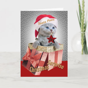 British Shorthair Kitten Weihnachtskarten Feiertagskarte