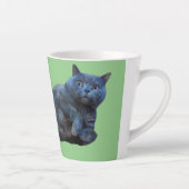 British Shorthair Kitty Cat Lay auf Seite Milchtasse (Rechts)