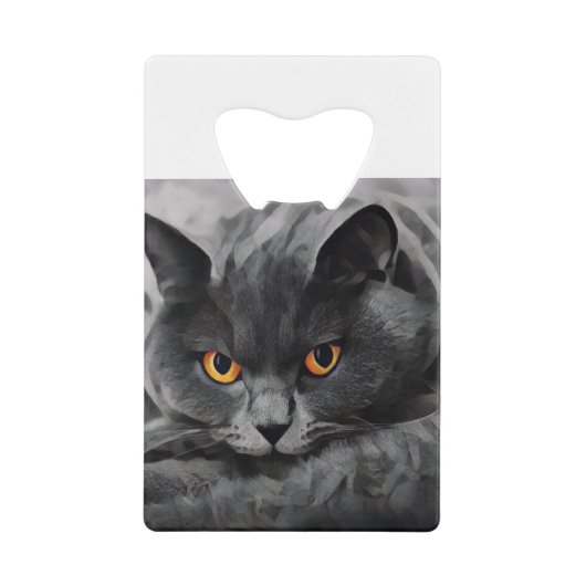British Shorthair Kitty Geldbeutel Flaschenöffner (Vorderseite)