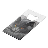 British Shorthair Kitty Geldbeutel Flaschenöffner (Rückseite Schrägansicht)