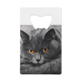 British Shorthair Kitty Geldbeutel Flaschenöffner (Rückseite)