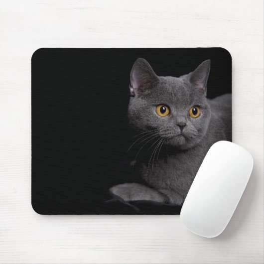 British Shorthair Mousepad (Mit Mouse)