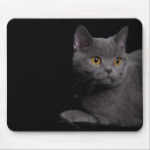 British Shorthair Mousepad (Vorne)