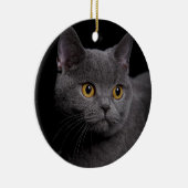 British Shorthair Ornament (Rechts)