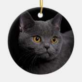 British Shorthair Ornament (Vorne)