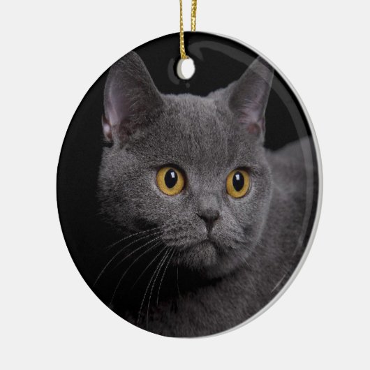 British Shorthair Ornament (Links)