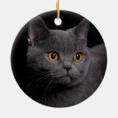 British Shorthair Ornament (Hinten)