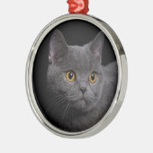 British Shorthair Premium Ornament (Links)