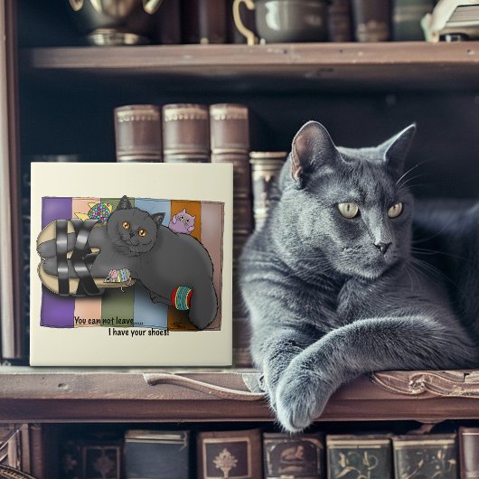 British Shorthair Sandals Funny Niedlich Fliese