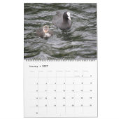 British Waterfowl Custom Calendar Kalender (Jan 2027)