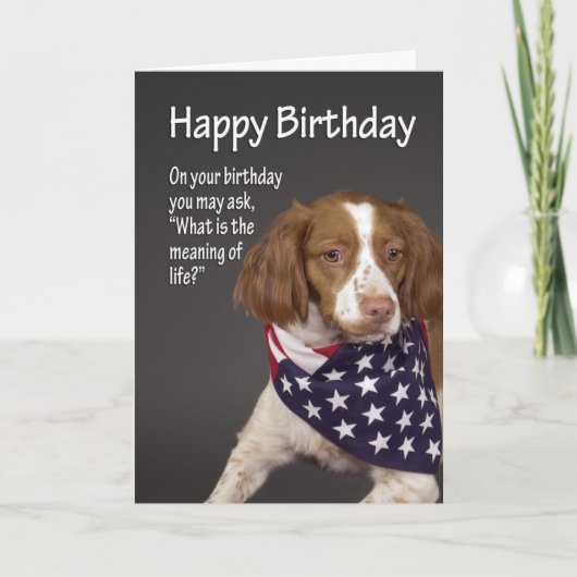 Brittany Birthday Card Karte (Vorderseite)