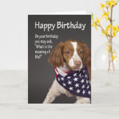 Brittany Birthday Card Karte (Gelbe Blume)