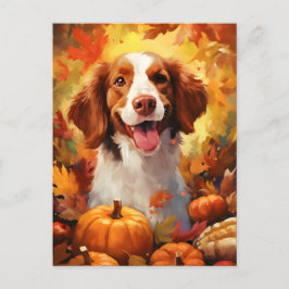Brittany dog Herbst Erntedank Postkarte