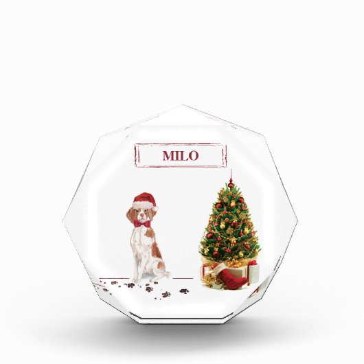 Brittany Funny Christmas Dog and Tree Fotoblock (Vorderseite)