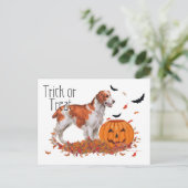 Brittany Halloween Postkarte (Stehend Vorderseite)