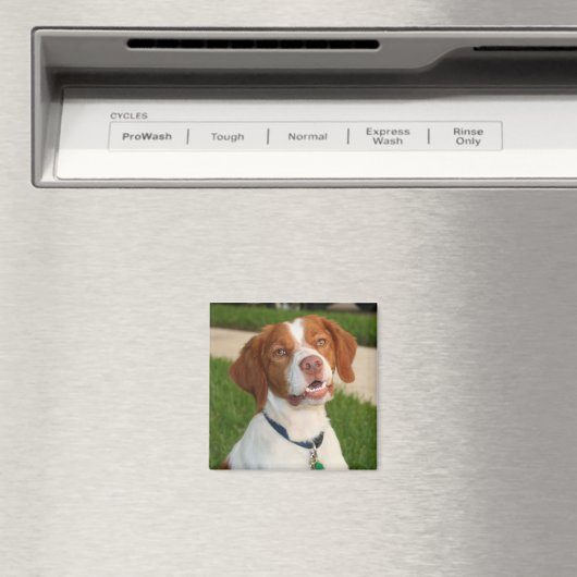 Brittany Magnet (In Situ (Geschirrspüler))