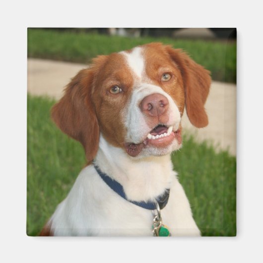 Brittany Magnet (Vorne)